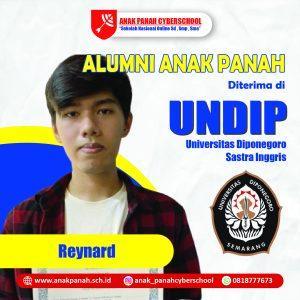 Reynard - undip